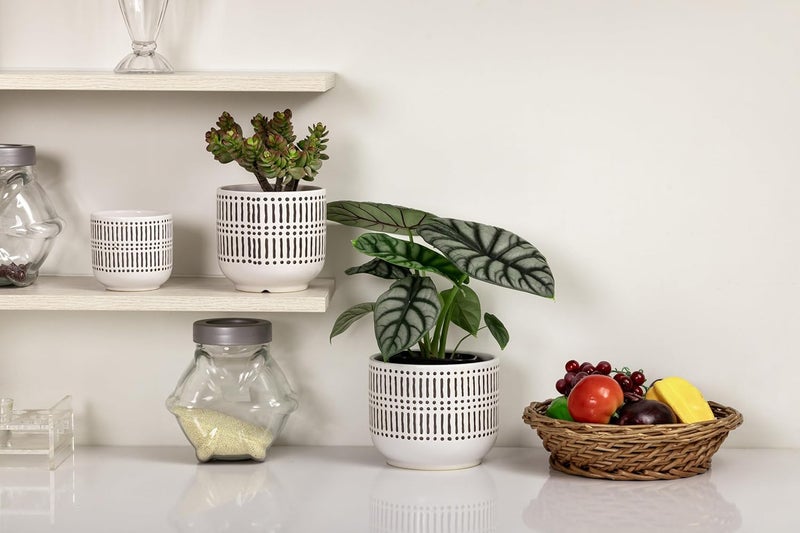 Docrin Store 3-Pack Ceramic Planters Set - 6.5"+5.3"+4" Dual-Tone Flower Pots with Drainage Holes, Modern Indoor Outdoor Planters for Succulents/Herbs/Large Plants, Home Office (Brownish Black & White) - Image 5
